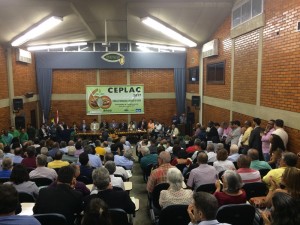 ceplac-10-300x225.jpg