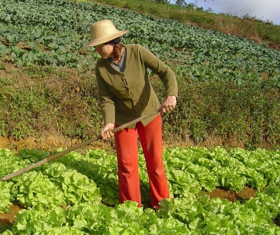 agricultura.jpg