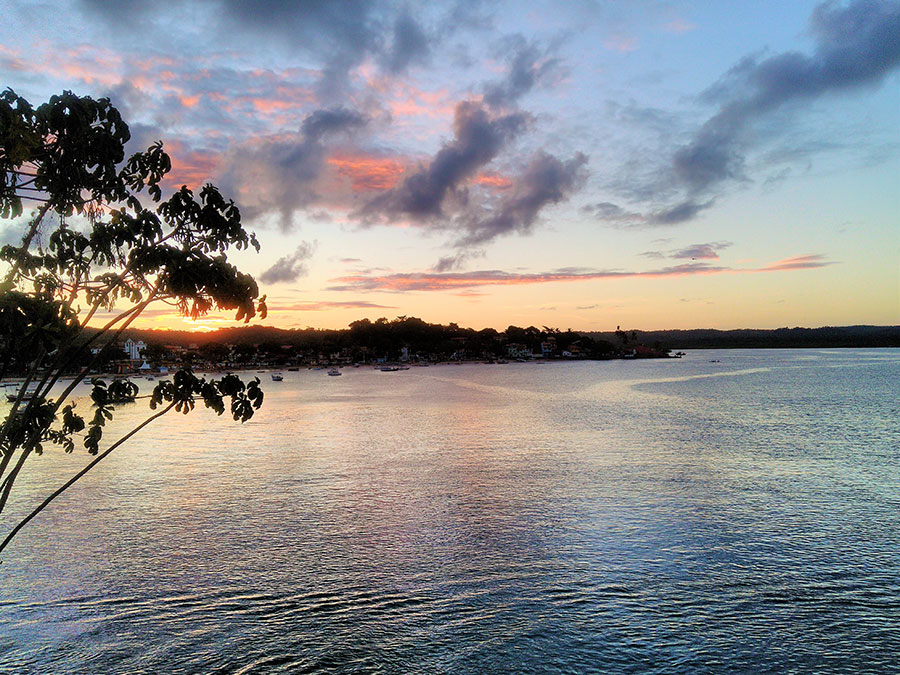 Semana do Meio Ambiente em Itacar&eacute; ter&aacute; plantio, campanhas e palestras