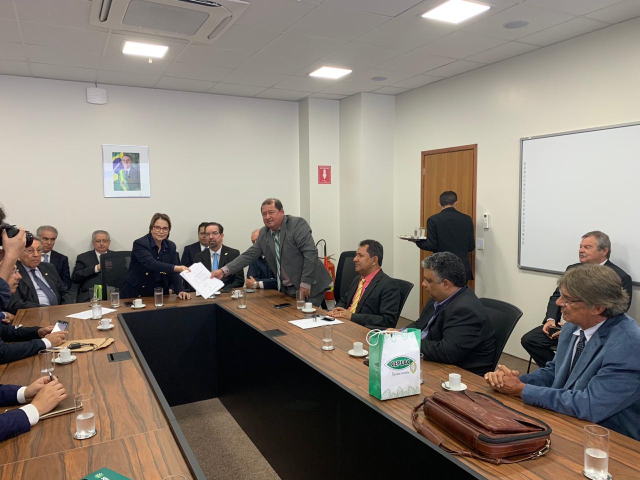 REUNIÃO EM BRASÍLIA COM PREFEITOS DEPUTADOS, SENADORES E A MINISTRA DA AGRICULTURA (9).jpeg