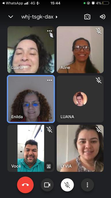 Reunião virtual sobre PL.jpeg